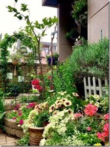 ピンクや緑の花と緑の植物が生えている家の庭の写真